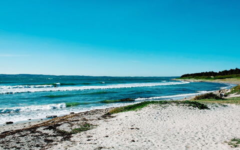 Delan - 650M from the Sea: Baum, Bank, Hütte, Ländliches Gebiet, See, Reflexion, Reservoir, Teich