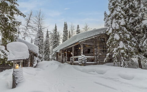 Mäkikelo: Schnee, Winter, Ast, Holz, Hütte, Einfrieren, Zuhause, Lärche