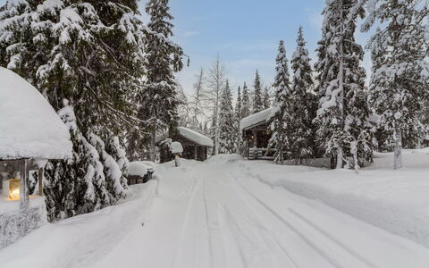 Mäkikelo: Schnee, Ast, Winter, Baum, Einfrieren, Geologisches Phänomen, Steigung, Frost, Lärche, Hütte