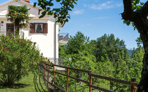 Orbani: Strauch, Balkon, Garten, Schatten, Garten, Veranda, Villa, Hinterhof