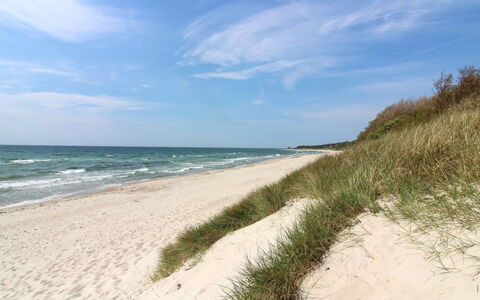 Adde - 150M from the Sea: Strand, Gewässer, Küste, Küsten Und Ozeanische Forms, Meer, Ufer, Sand, Sommer, Horizont