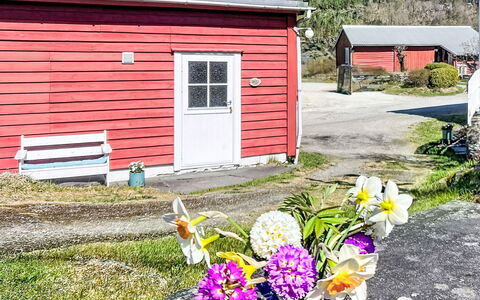 Mjølkerommet: Strauch, Haus, Hütte, Frühling, Garten, Schuppen, Garten, Abstellgleis, Gartenbauten, Auffahrt