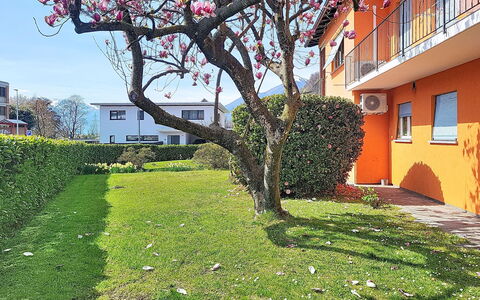 Sailor'S Home: Haus, Zuhause, Rasen, Garten, Garten, Hinterhof, Schatten, Landscaping, Hecke, Home Fechten