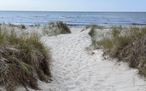 Aarre - 1Km from the Sea: Natürlichen Umgebung, Strand, Küste, Meer, Ufer, Küsten Und Ozeanische Forms, Sand, Ozean, Welle