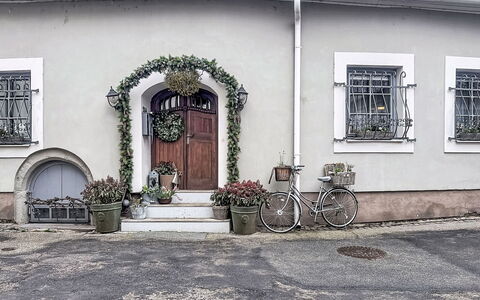 Luxury Suite 244: Wand, Tür, Blumentopf, Zimmerpflanze, Home Door, Beton, Formen, Gips
