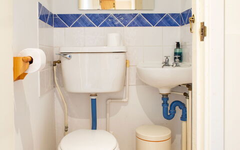 Blue Lobster: Toilleten Sitz, Badezimmer, Armatur, Toilette, Installation, Interior Design, Flooring, Zapfhahn, Fussboden, Sinken