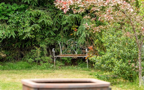 Jamie - from the Sea: Blatt, Vegetation, Strauch, Pflanzengemeinschaft, Garten, Frühling, Ground, Rasen, Park, Garten