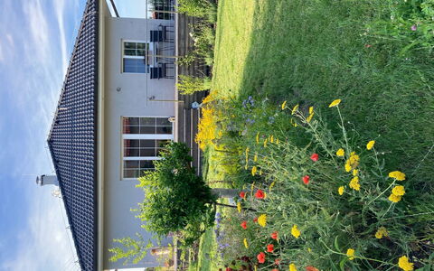 Hillside View: Grün, Haus, Zuhause, Garten, Frühling, Rasen, Garten, Hinterhof, Schatten, Landscaping