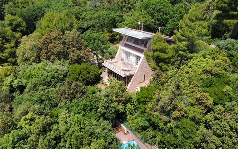 Villa Sole - Exclusive Villa al Conero con Piscina: Vegetation, Zuhause, Estate, Hütte, Dschungel, Eco Hotel, Villa, Immergrün, Villa, Balkon