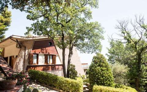 Villa Sole - Exclusive Villa al Conero con Piscina: Blatt, Strauch, Wohngebiet, Zuhause, Hütte, Garten, Frühling, Estate, Landscaping, Garten