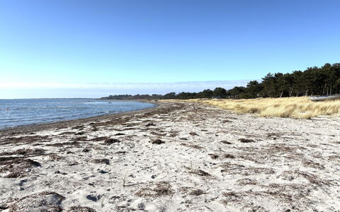 Euphemia - 200M from the Sea: Wasser, Strand, Küste, Ufer, Horizont, Küsten Und Ozeanische Forms, Meer, Sand, Ozean