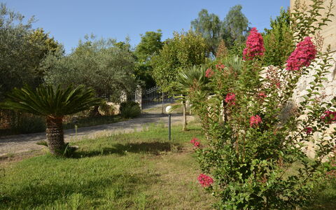 Villa del Monte