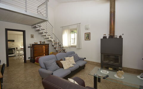 Villa del Monte: Möbel, Interior Design, Flooring, Wand, Fussboden, Couch, Zimmer, Holz, Wohnzimmer, Decke