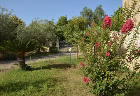 Villa del Monte: Blume, Strauch, Garten, Rosa, Frühling, Blühende Pflanze, Landscaping, Botanischer Garten, Garten