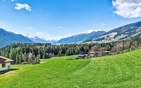 Panoramablick Tauern: Gras, Grün, Bergforms, Natur, Wiese, Berg, Natürliche Landschaft, Hügel, Landschaft