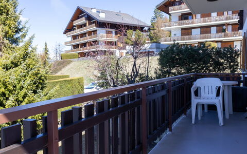Edelweiss: 