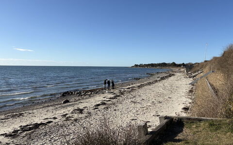Marillia - 75M from the Sea: Küste, Strand, Küsten Und Ozeanische Forms, Ufer, Meer, Horizont, Ozean, Bank, Sand, Wind Wave