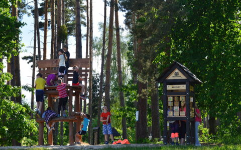 Hradec Kralove 4: Baum, Holz, Erholung, Öffentlicher Raum, Erholung Im Freien, Freizeit, Frühling, Spass, Park, Kind