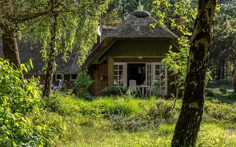 Ullamaj - 700M from the Sea: Vegetation, Dachdecken, Dach, Haus, Hütte, Strauch, Ländliches Gebiet, Zuhause, Pflanzengemeinschaft, Garten