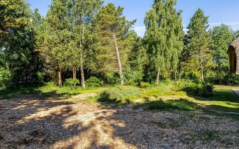 Ullamaj - 700M from the Sea: Blatt, Baum, Gras, Ast, Vegetation, Strauch, Pflanzengemeinschaft, Garten, Ground, Kofferraum