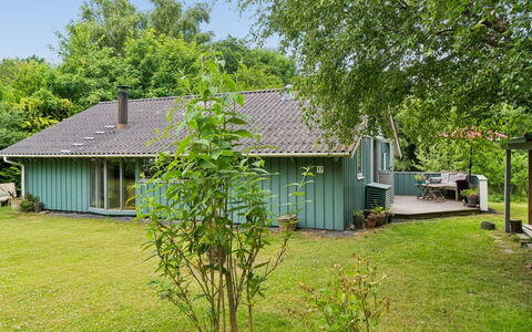 Niela - 700M from the Sea: Grün, Strauch, Haus, Zuhause, Hütte, Dach, Grundstueck, Garten, Ground, Hinterhof