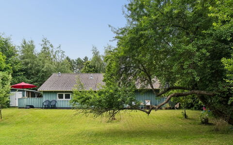 Niela - 700M from the Sea: Gras, Baum, Haus, Strauch, Zuhause, Hütte, Rasen, Grundstueck, Ländliches Gebiet
