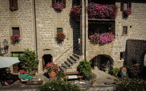 Agriturismo Arcera: Blumentopf, Zimmerpflanze, Floristik, Garten, Hof, Garten, Blumendesign, Hazienda