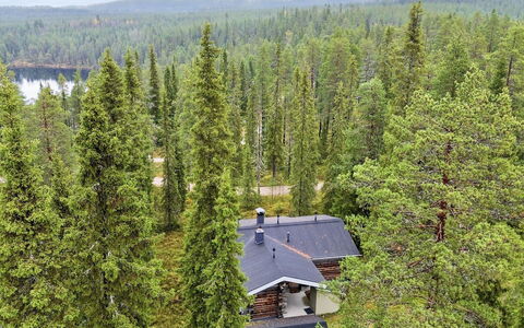 Rukan Kivikelo: Baum, Natürlichen Umgebung, Blatt, Wald, Pflanzengemeinschaft, Lärche, Wald, Naturschutzgebiet