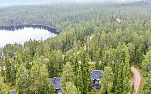 Rukan Kivikelo: Baum, Natürlichen Umgebung, Natur, Wald, Landschaft, Pflanzengemeinschaft, Grundstueck, Wald