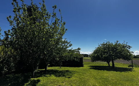 La Maison de Léa: Blau, Blatt, Grün, Natur, Natürlichen Umgebung, Ast, Vegetation, Wiese, Einfach