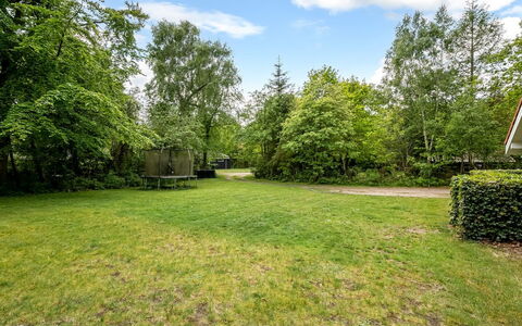 Antoinetta - 350M from the Sea: Baum, Strauch, Grundstueck, Garten, Rasen, Landscaping, Garten, Estate, Park, Schatten