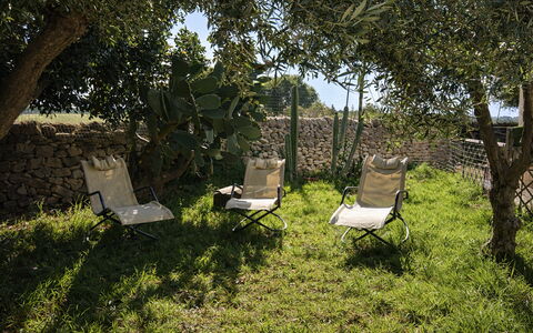 Ranch Salomonello: Möbel, Gartenmöbel, Stuhl, Klappstuhl, Schatten, Garten, Sonnenliege, Hinterhof, Garten, Rasen