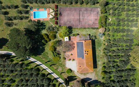 Il Leccio, Vinci, Private Pool and Tennis: Baum, Landschaft, Grundstueck, Estate, Plantage, Garten, Landscaping, Vogelperspektive, Rasen, Park