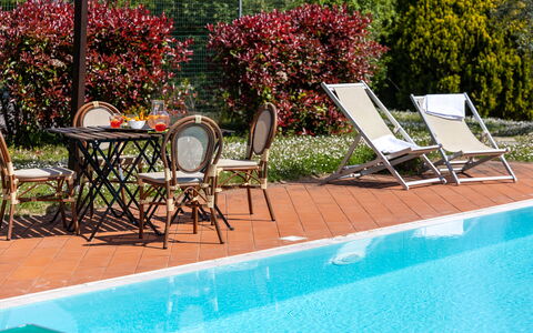 Il Leccio, Vinci, Private Pool and Tennis: Schwimmbad, Gartenmöbel, Resort, Möbel, Eco Hotel, Schatten, Stuhl, Sonnenliege, Blumentopf, Zimmerpflanze