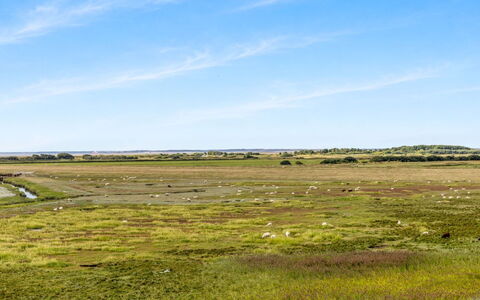 Nadua - 25M from the Sea: Himmel, Grün, Natürlichen Umgebung, Wiese, Ökoregion, Natürliche Landschaft, Einfach, Horizont, Steppe, Prärie