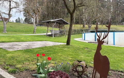 Viechtach 646: Baum, Gras, Öffentlicher Raum, Garten, Rasen, Park, Kofferraum, Garten, Bank, Schatten