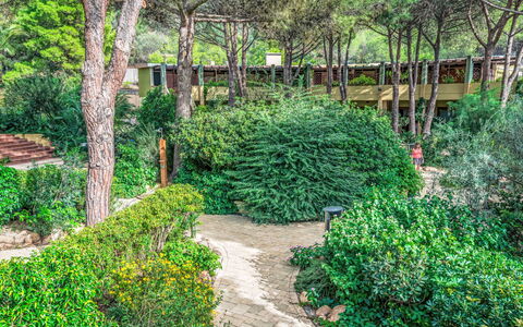 Abbaechelu: Wohnung, Balkon, Eigentumswohnung, Hotel, Resort, Ferienort, Hazienda, Villa, Strandresort