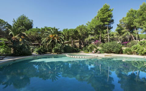 Pula 661: Wasser, Baum, Schwimmbad, Resort, Garten, Eco Hotel, Schatten, Landscaping, Tropen