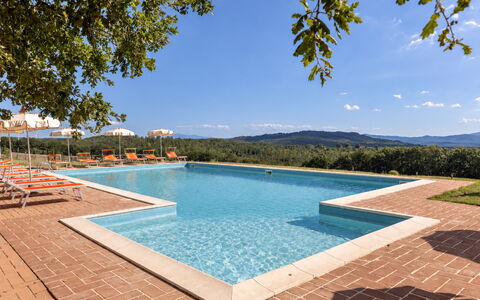 Casa Stella Serena, Casole D'Elsa, Pool: Schwimmbad, Eco Hotel, Resort, Estate, Hazienda, Bauernhaus, Villa, Landscaping, Ferienort, Hotel