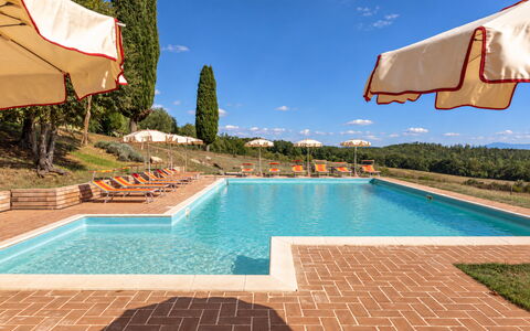 Casa Stella Serena, Casole D'Elsa, Pool: Estate, Hazienda, Landscaping, Villa, Schwimmbad, Plantage, Bauernhaus