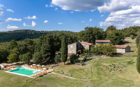 Casa Stella Serena, Casole D'Elsa, Pool: Baum, Landschaft, Wiese, Einfach, Grundstueck, Ländliches Gebiet, Estate, Wiese, Hütte, Rasen