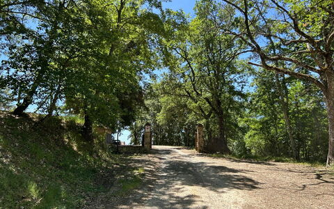 Casa Stella Serena, Casole D'Elsa, Pool: Ast, Blatt, Baum, Natürlichen Umgebung, Natur, Holz, Vegetation, Natürliche Landschaft, Strasse, Weg