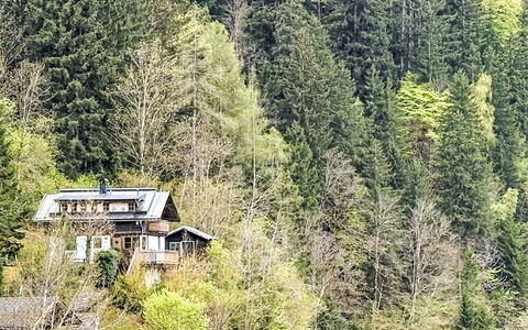 Chalet Kitzsteinhorn: Baum, Natürlichen Umgebung, Vegetation, Haus, Strauch, Wald, Hütte, Pflanzengemeinschaft, Zuhause