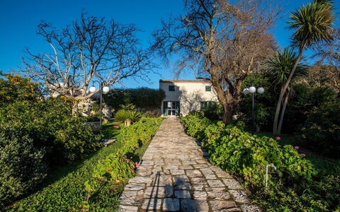 Tenuta Renna: Strauch, Garten, Frühling, Landscaping, Garten, Walkway, Botanischer Garten