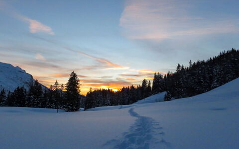 La Suisse Normande: Himmel, Blau, Winter, Ast, Natur, Schnee, Sonnenaufgang, Sonne, Terrain, Wildnis