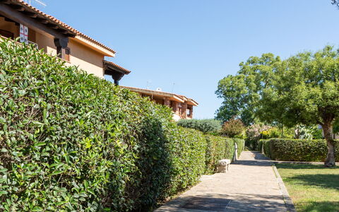 Perla San Teo: Strauch, Hecke, Garten, Gehölz, Schatten, Landscaping, Plantage, Walkway, Botanischer Garten