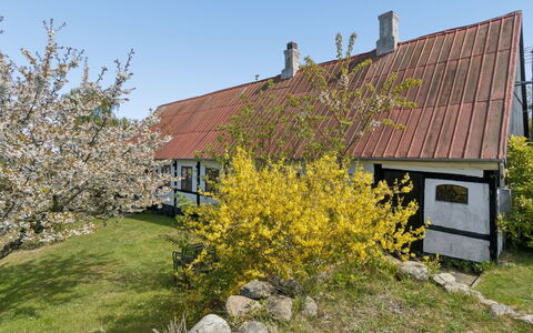 Espen - 300M from the Sea: Gras, Wiese, Grundstueck, Hütte, Ländliches Gebiet, Wiese, Gartenbauten, Garten, Schuppen