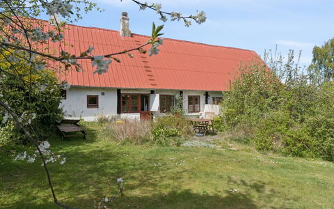 Espen - 300M from the Sea: Gras, Wiese, Grundstueck, Hütte, Ländliches Gebiet, Wiese, Gartenbauten, Garten, Schuppen