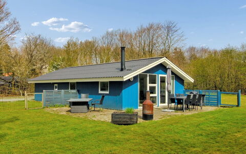 Brunhild - 29Km from the Sea: Pflanzengemeinschaft, Sonnenlicht, Krautige Pflanze, Garten, Plantage, Landwirtschaft, Bauernhof