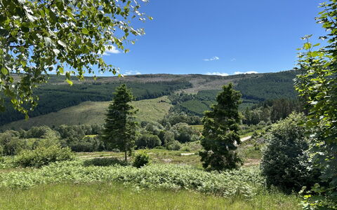 Highland Hillside Retreat: Bergforms, Grün, Baum, Natürlichen Umgebung, Natur, Hügel, Berg, Vegetation, Natürliche Landschaft, Wiese